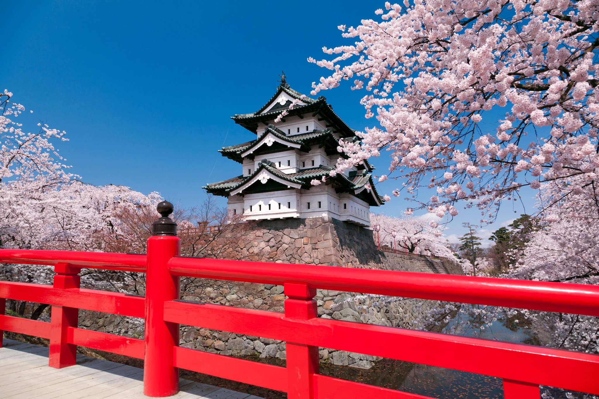 hirosaki-castle-park-neputa-festival-exhibition-hall