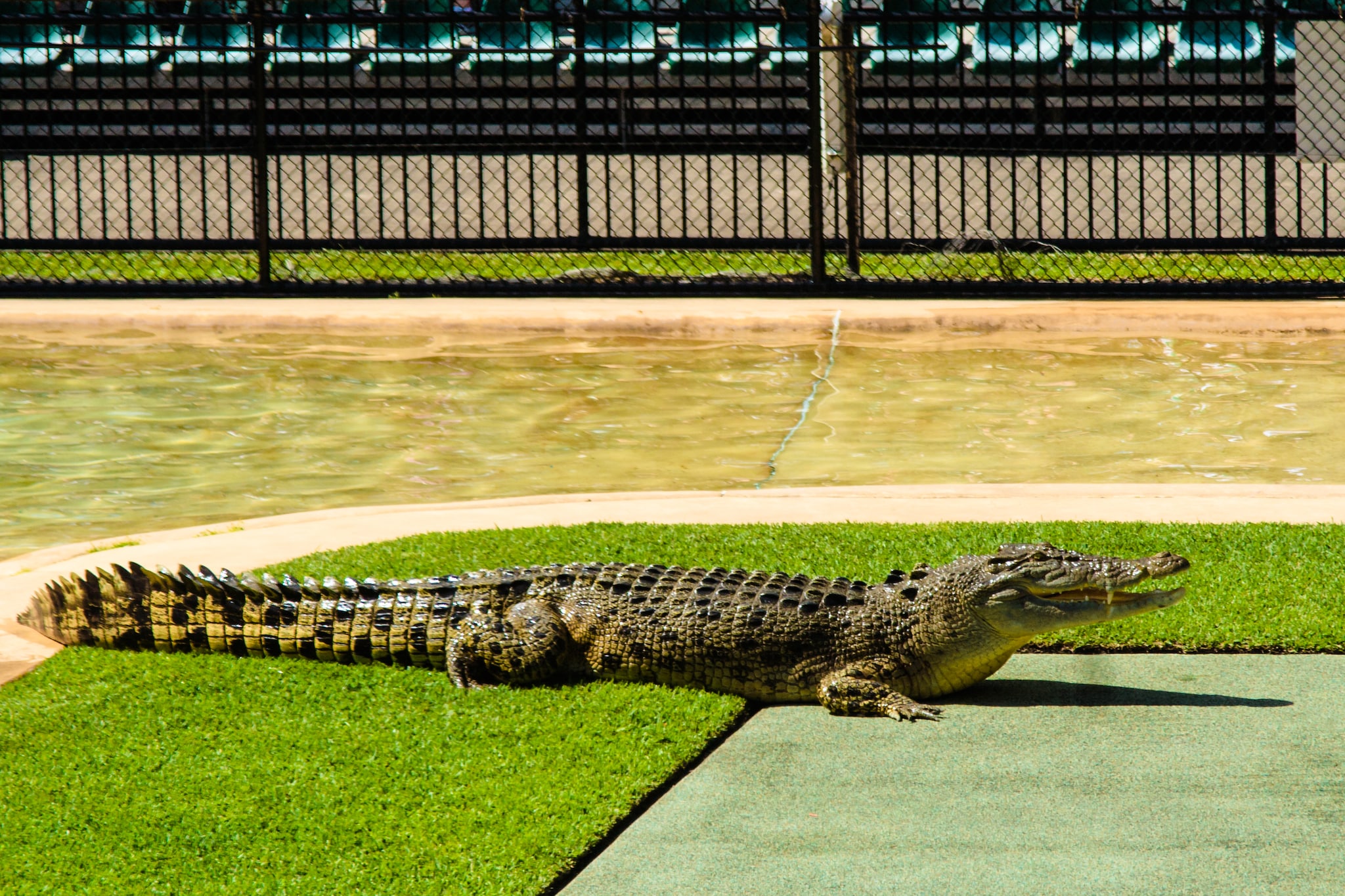 australia zoo excursions