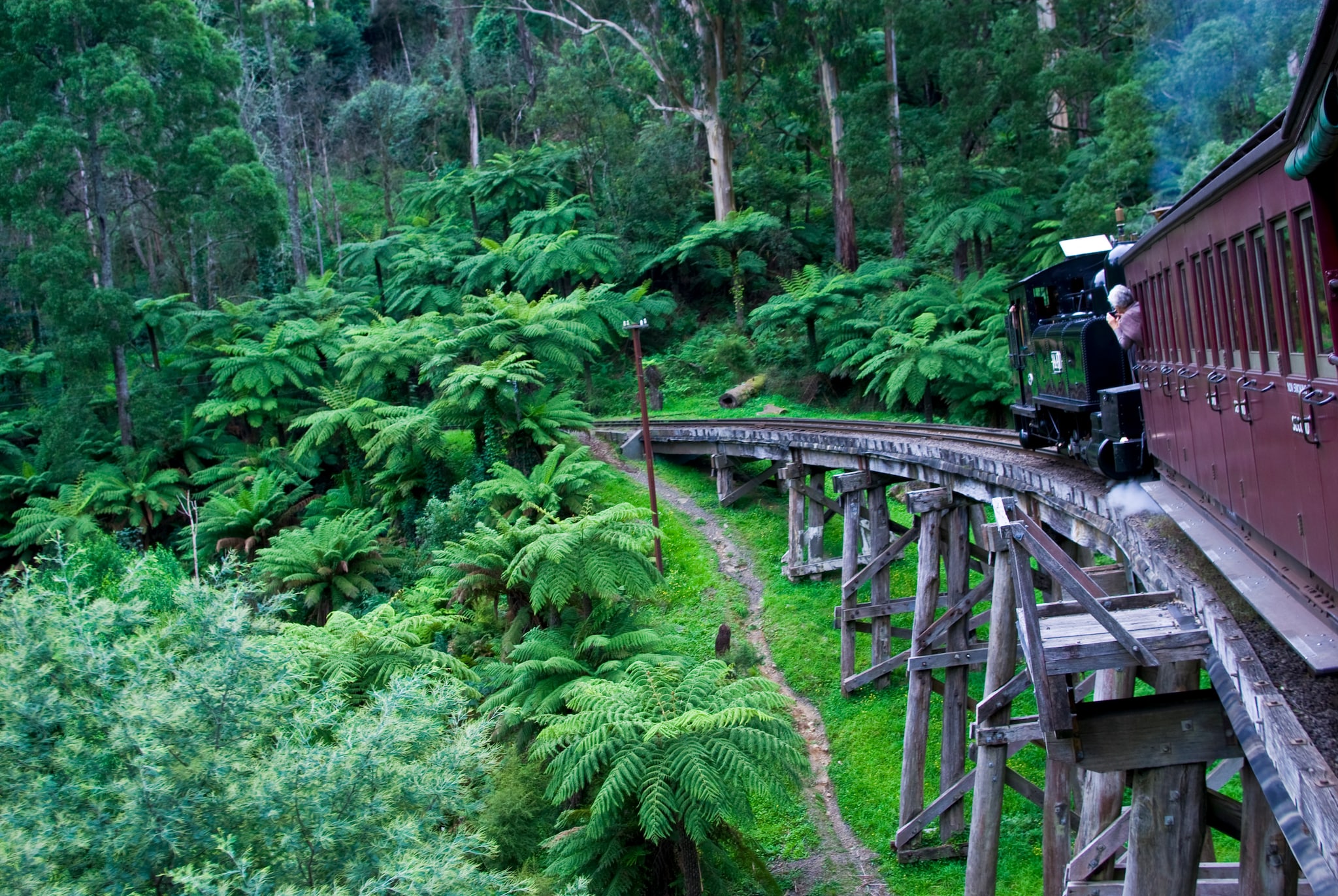 puffing-billy-steam-train