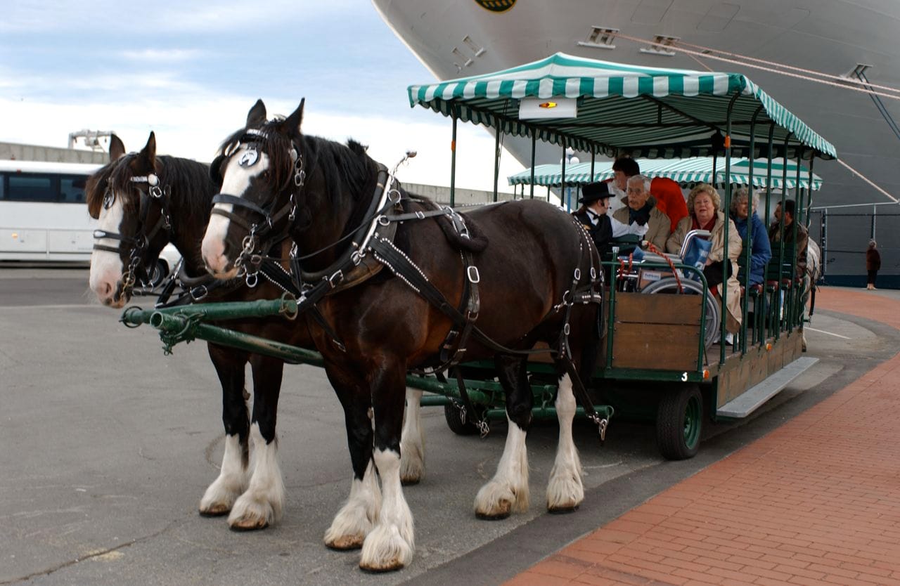 victoria-by-horse-drawn-trolley